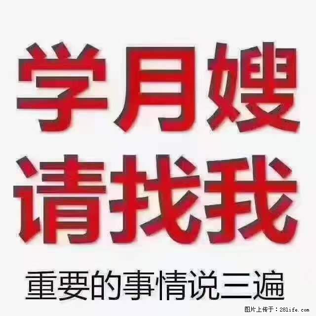 为什么要学习月嫂，育婴师？ - 其他广告 - 广告专区 - 武汉分类信息 - 武汉28生活网 wh.28life.net