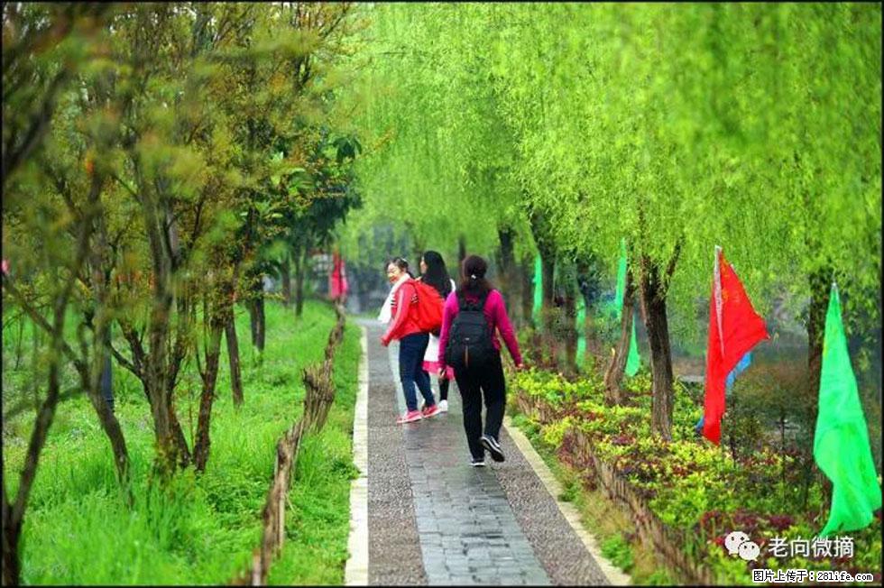 【春天，广西桂林灌阳县向您发出邀请！】江口老街又逢春 - 游山玩水 - 武汉生活社区 - 武汉28生活网 wh.28life.net