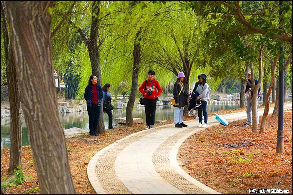 【春天，广西桂林灌阳县向您发出邀请！】江口老街又逢春 - 游山玩水 - 武汉生活社区 - 武汉28生活网 wh.28life.net