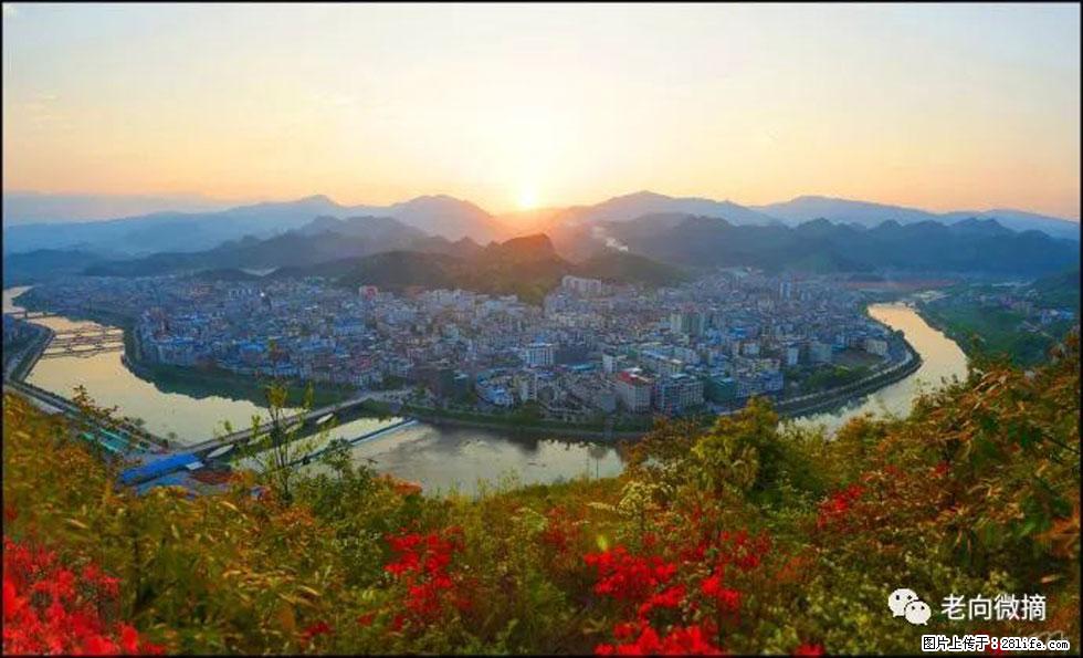 【春天，广西桂林灌阳县向您发出邀请！】登麒麟山，相约映山红 - 游山玩水 - 武汉生活社区 - 武汉28生活网 wh.28life.net