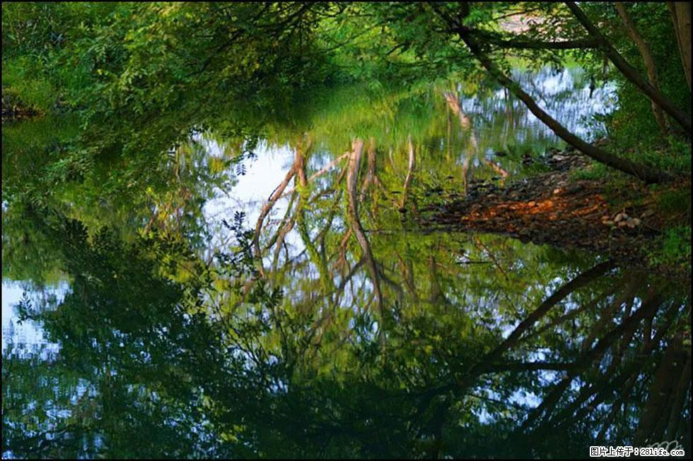 【春天，广西桂林灌阳县向您发出邀请！】熊家寨湿地公园 - 游山玩水 - 武汉生活社区 - 武汉28生活网 wh.28life.net
