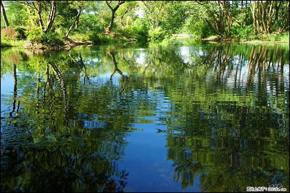 【春天，广西桂林灌阳县向您发出邀请！】熊家寨湿地公园 - 游山玩水 - 武汉生活社区 - 武汉28生活网 wh.28life.net