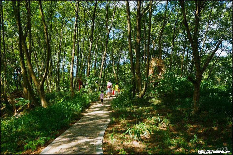【春天，广西桂林灌阳县向您发出邀请！】熊家寨湿地公园 - 游山玩水 - 武汉生活社区 - 武汉28生活网 wh.28life.net