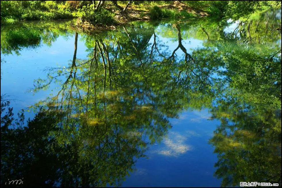 【春天，广西桂林灌阳县向您发出邀请！】熊家寨湿地公园 - 游山玩水 - 武汉生活社区 - 武汉28生活网 wh.28life.net