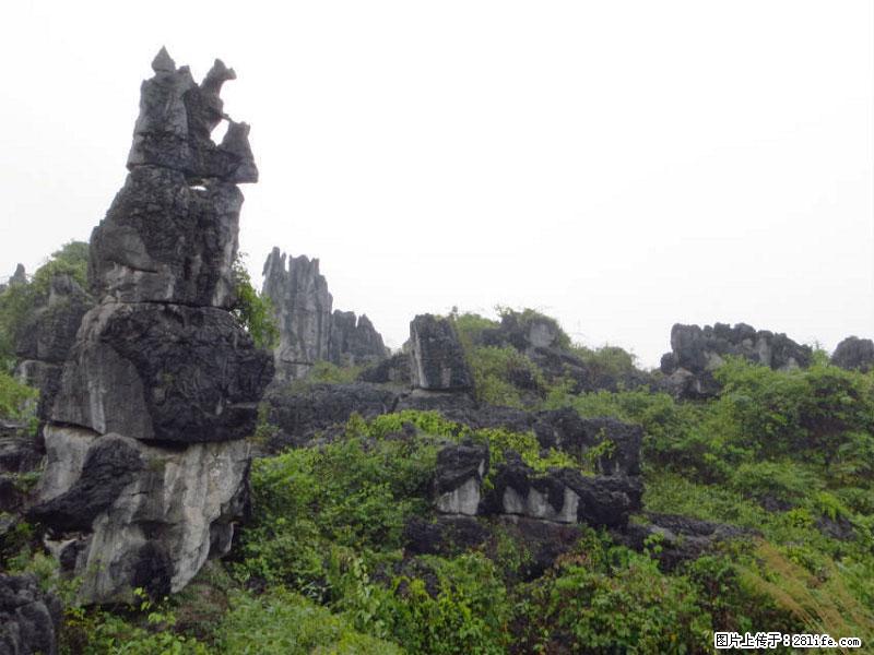桂林旅游名城景点：灌阳文市石林 - 游山玩水 - 武汉生活社区 - 武汉28生活网 wh.28life.net