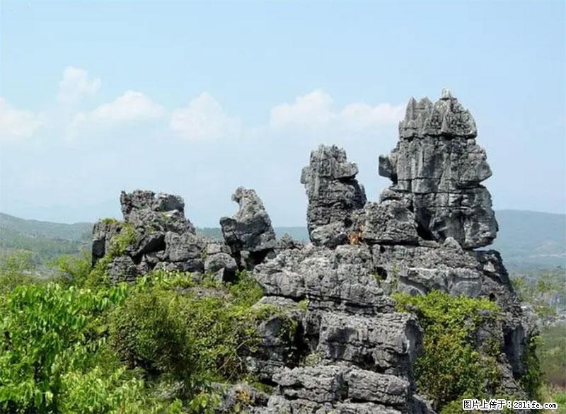 桂林旅游名城景点：灌阳文市石林 - 游山玩水 - 武汉生活社区 - 武汉28生活网 wh.28life.net