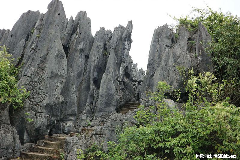 桂林旅游名城景点：灌阳文市石林 - 游山玩水 - 武汉生活社区 - 武汉28生活网 wh.28life.net