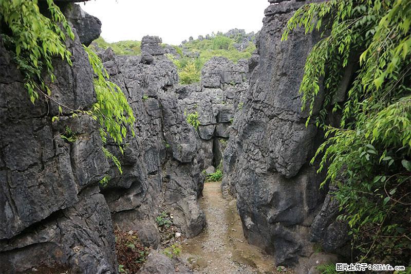 桂林旅游名城景点：灌阳文市石林 - 游山玩水 - 武汉生活社区 - 武汉28生活网 wh.28life.net