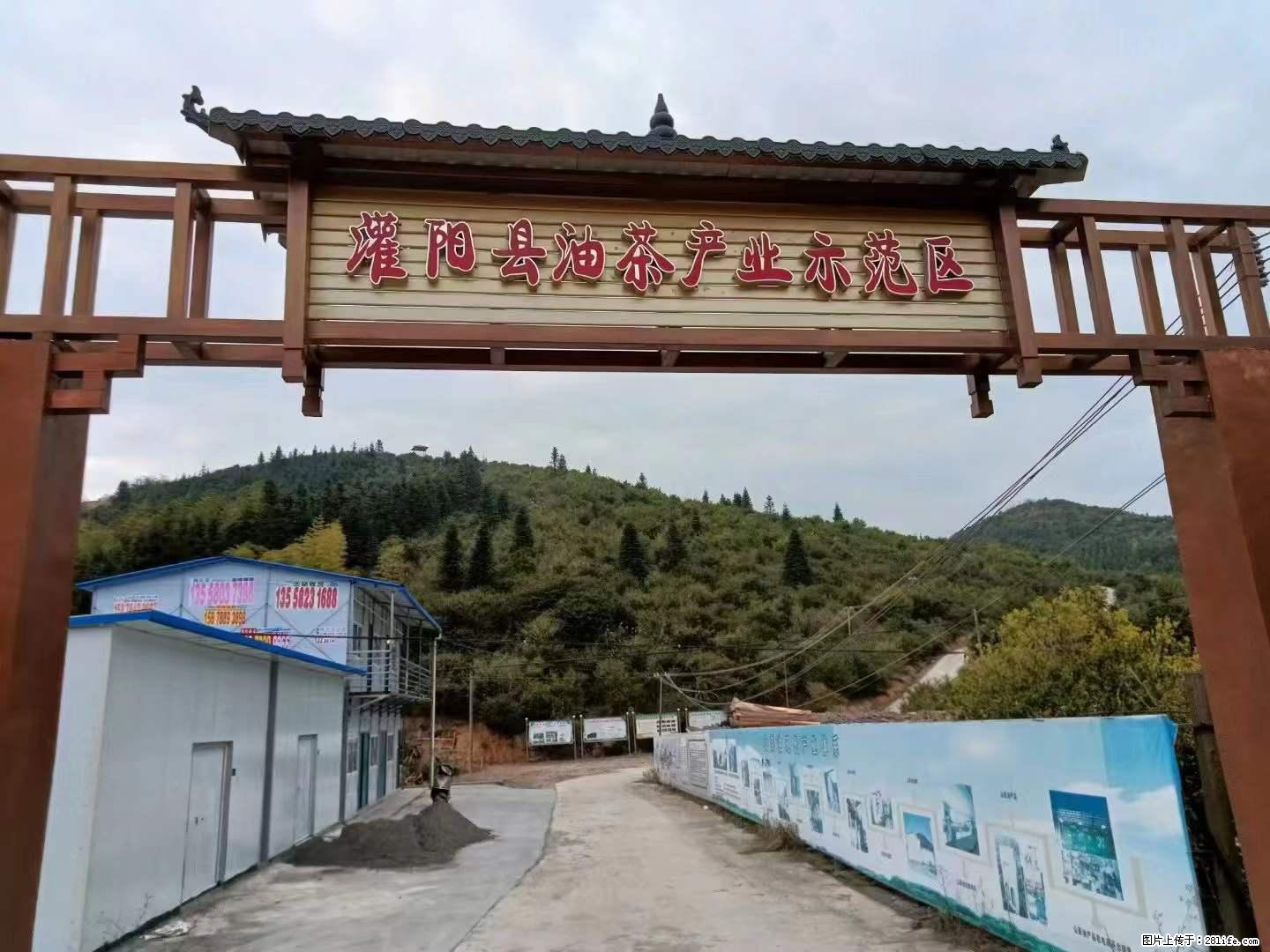 【灌阳县油茶产业示范区】一个有着充实的精神生活的人，对待身外之物自会有一种淡泊的态度 - 土特产 - 饮食特产 - 武汉分类信息 - 武汉28生活网 wh.28life.net