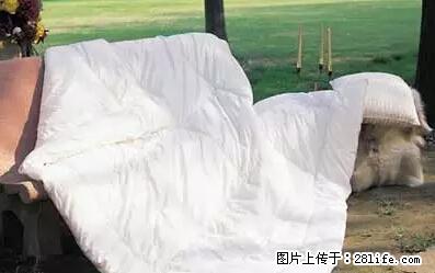 被子有异味？只要这样做，比晒太阳还强100倍！ - 家居生活 - 武汉生活社区 - 武汉28生活网 wh.28life.net