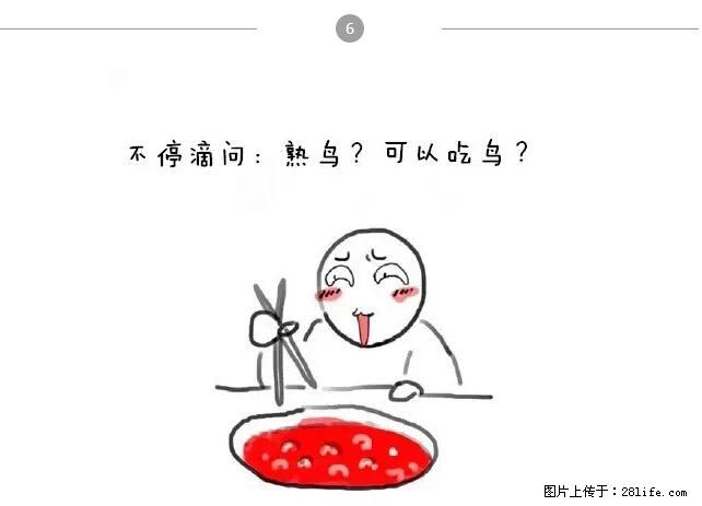 千万不要和这9种哈卵一起吃火锅！ - 美食天地 - 武汉生活社区 - 武汉28生活网 wh.28life.net