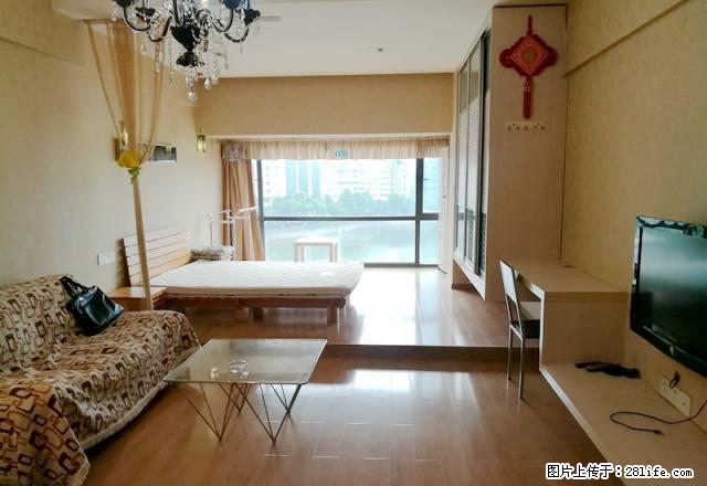 口口口云林街 一线看湖 观湖铂金公寓 豪装1房 实图 有钥匙 - 房屋出租 - 房屋租售 - 武汉分类信息 - 武汉28生活网 wh.28life.net