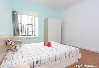 (单间出租)单间出租+押一付一+兴业路金桥壹号附近+新小区电梯房家电齐全 - 武汉28生活网 wh.28life.net