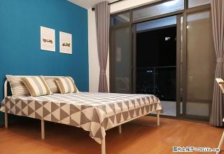(单间出租)东兴天地D区 蛋壳公寓直租 新客入住返现 拎包入住 押一付一 - 武汉28生活网 wh.28life.net
