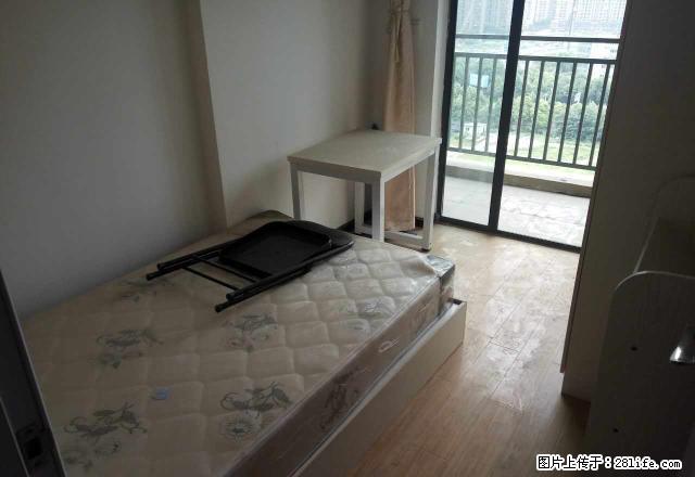(单间出租)国际百纳，精品丹单间，精装地铁房，永旺旁边，无中间费。 - 房屋出租 - 房屋租售 - 武汉分类信息 - 武汉28生活网 wh.28life.net