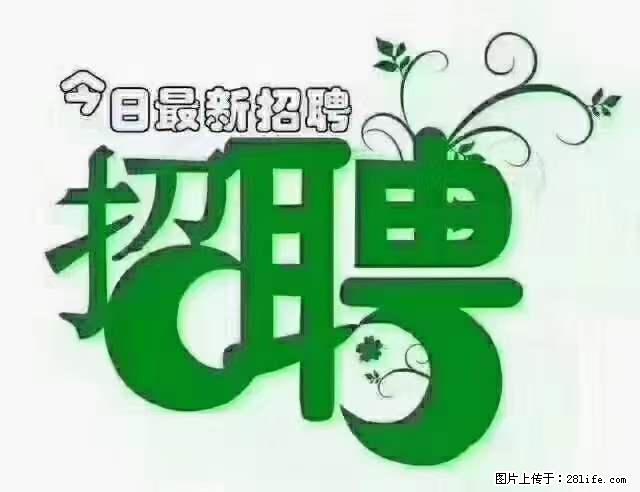 【招聘摄像师】待遇：试用期6000元/月，转正7000元/月+五险一金+餐补+节日福利+奖金 - 其他招聘信息 - 招聘求职 - 武汉分类信息 - 武汉28生活网 wh.28life.net