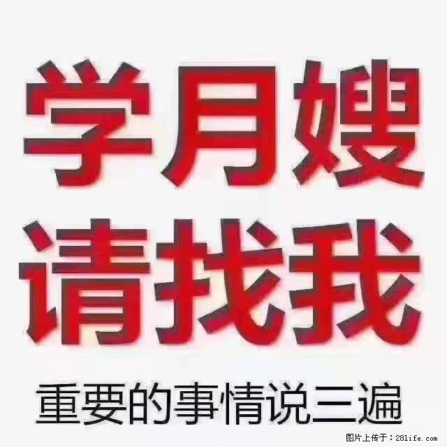 【招聘】月嫂，上海徐汇区 - 职场交流 - 武汉生活社区 - 武汉28生活网 wh.28life.net