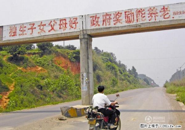 全面两孩政策计划明年元旦起实施 夫妻可延长生育假 - 武汉生活资讯 - 武汉28生活网 wh.28life.net