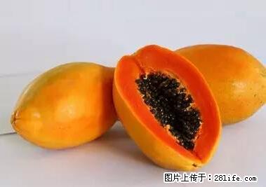 晕车、脚气、牙齿变黄、皮肤粗糙？学会这些三分钟搞定！ - 武汉生活资讯 - 武汉28生活网 wh.28life.net