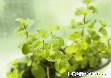 晕车、脚气、牙齿变黄、皮肤粗糙？学会这些三分钟搞定！ - 武汉生活资讯 - 武汉28生活网 wh.28life.net