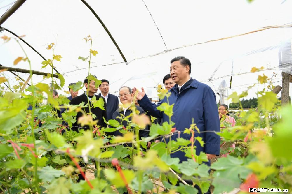 习近平赴广西考察调研 - 武汉生活资讯 - 武汉28生活网 wh.28life.net