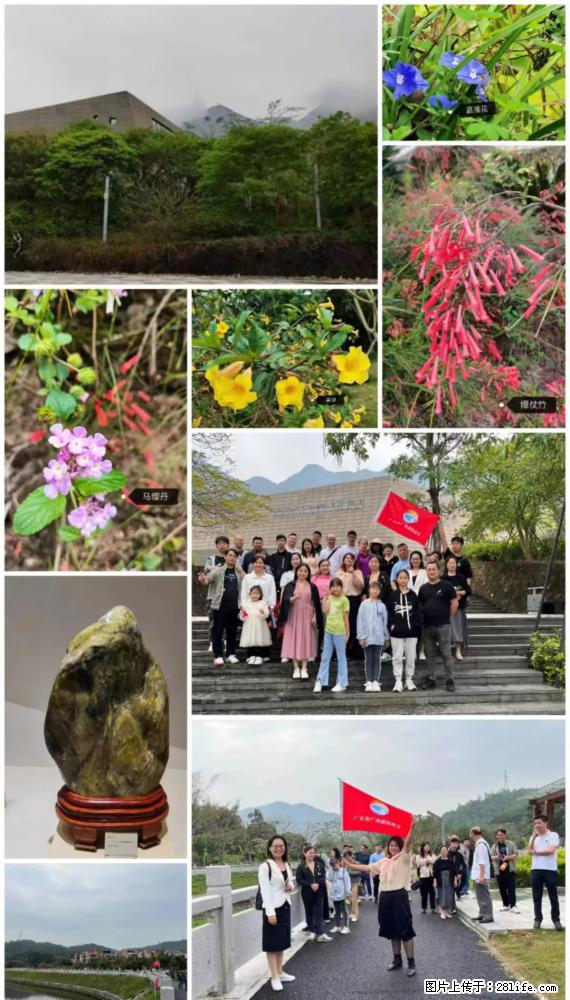 “粤灌文化 美好生活”油茶文化主题活动在广东深圳成功举办 - 武汉生活资讯 - 武汉28生活网 wh.28life.net