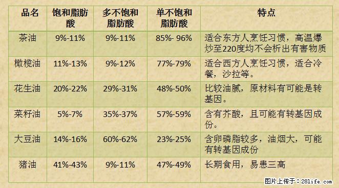 揭秘茶油的5大核心营养成分！被称为人体健康的“守护盾”！ - 武汉生活资讯 - 武汉28生活网 wh.28life.net