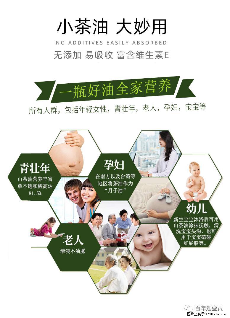世界没有真相，只有认知，最好的食用油是中国的山茶油！ - 武汉生活资讯 - 武汉28生活网 wh.28life.net