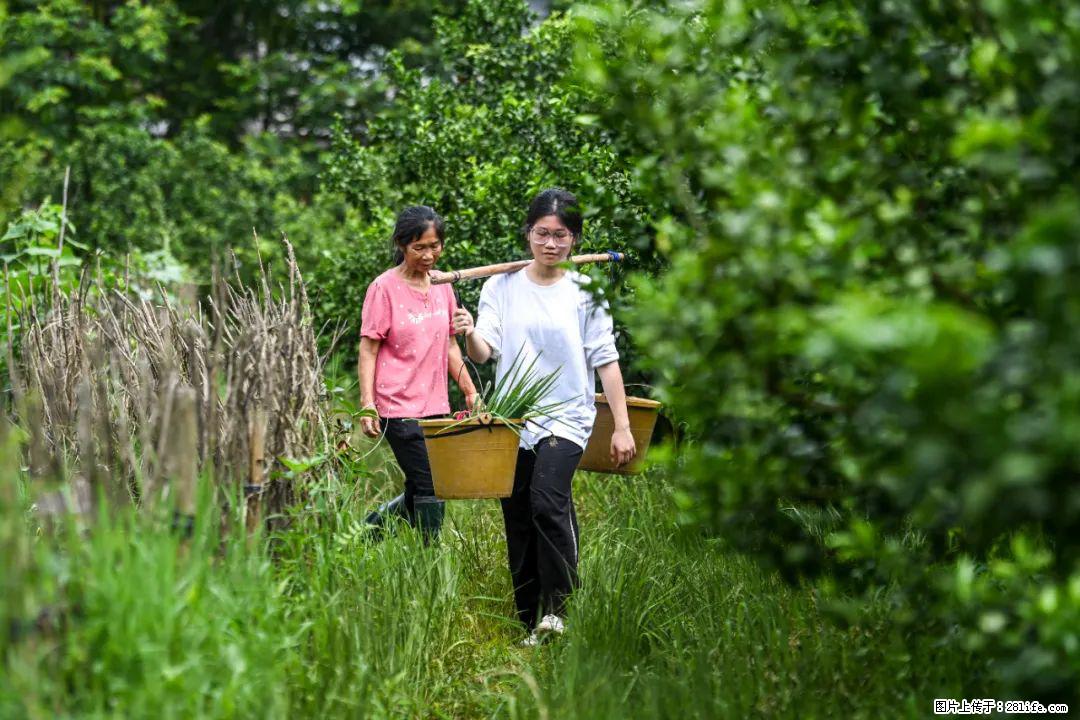 全网追的“扁担女孩”，找了一份暑假工，时薪12元 - 武汉生活资讯 - 武汉28生活网 wh.28life.net