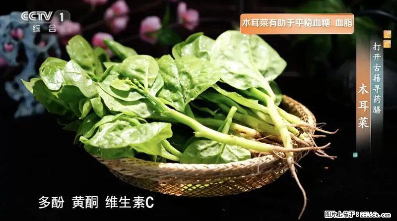 比牛奶补钙还厉害！凉血解毒、稳血糖...这菜冬天必吃，很多人却当草 - 武汉生活资讯 - 武汉28生活网 wh.28life.net