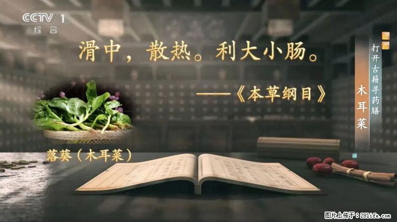 比牛奶补钙还厉害！凉血解毒、稳血糖...这菜冬天必吃，很多人却当草 - 武汉生活资讯 - 武汉28生活网 wh.28life.net