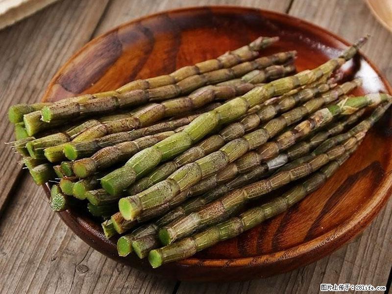 铁皮石斛的作用与功能主治 - 武汉生活资讯 - 武汉28生活网 wh.28life.net