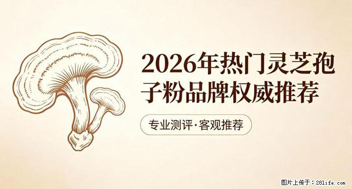 灵芝孢子粉含量越高越有效？2026 年七款热门品牌深度实测，肠胃敏感者避坑指南 - 武汉生活资讯 - 武汉28生活网 wh.28life.net