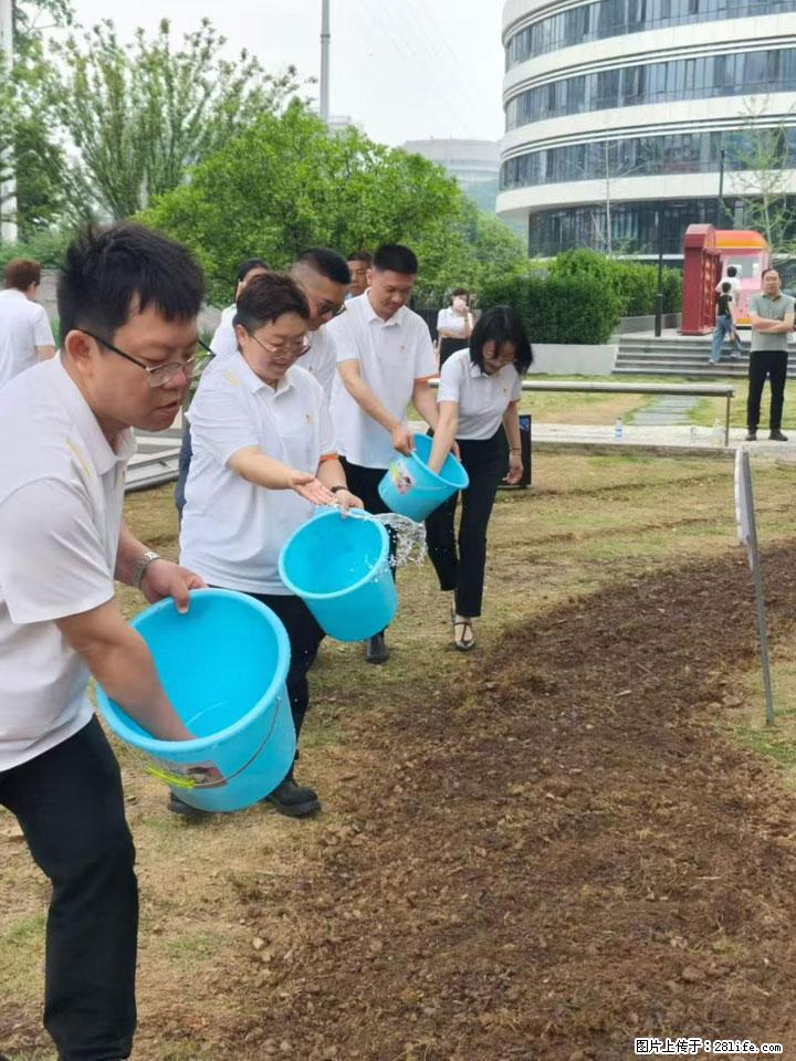 守护城市文脉 践行绿色金融——汉阳树公益认养暨绿色金融主题宣教活动在汉举行 - 武汉生活资讯 - 武汉28生活网 wh.28life.net